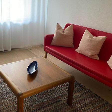 H2 With 3,5 Rooms, 2Br, Living Room And Kitchen, Central And Quite Zurich Bagian luar foto